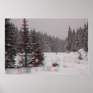 Affiche Étiquettes de castor