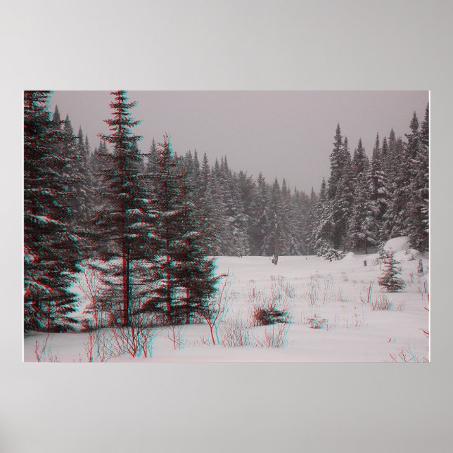 Affiche Étiquettes de castor (Devant)