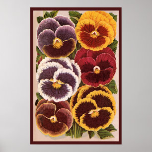 Affiche Étiquettes de paquets de graines vintage, fleurs d