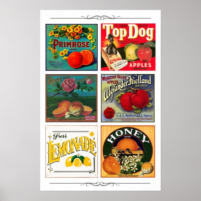 Affiche Étiquettes publicitaires de fruits vintage (Devant)