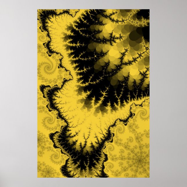 Affiche Étoile aux plumes de moisi (Devant)