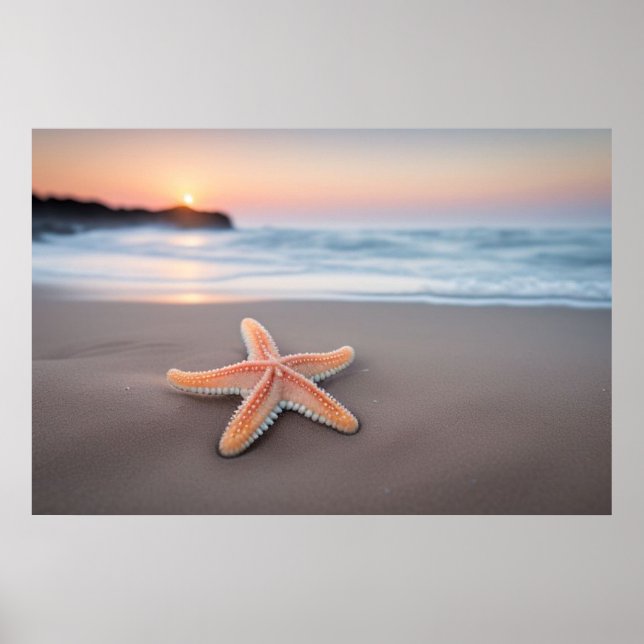 Affiche Étoile de mer allongée sur une plage (Devant)