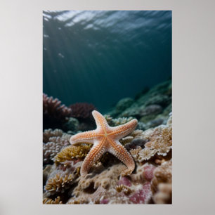 Affiche Étoile de mer en haute mer
