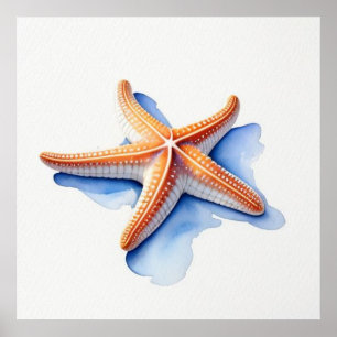 Affiche Étoile de mer et silhouette bleue