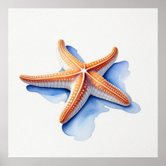 Affiche Étoile de mer et silhouette bleue (Devant)