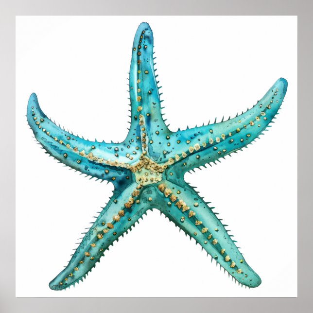 Affiche Étoile de mer turquoise 24 x 24 (Devant)