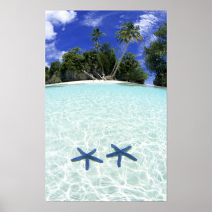 Affiche Étoiles de mer, îles rocheuses, Palaos