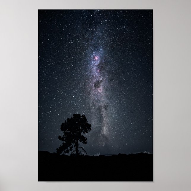 Affiche étoiles de voie laiteuse et un arbre (Devant)