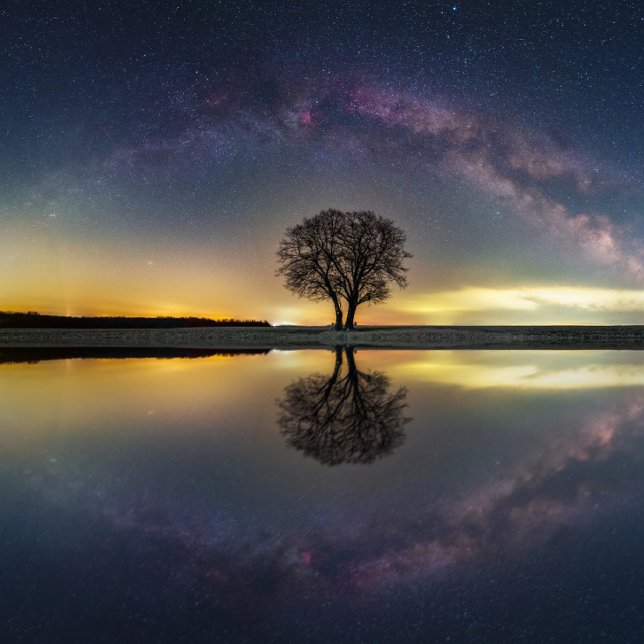 Affiche Étoiles en réflexion avec l'eau (Créateur téléchargé)