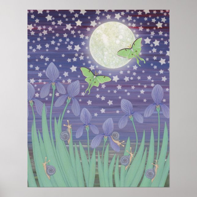 Affiche étoiles lune, papillons lunaires, escargots & iris (Devant)