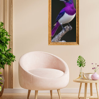 Affiche Étourneau à dos violet