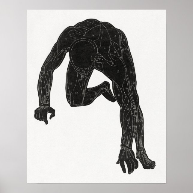Affiche Étude anatomique du cou d'un homme (Devant)