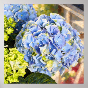 Affiche Étude botanique picturale d'hortensia bleu poudre