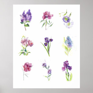 Affiche Étude de fleurs printanières en aquarelle pour mur