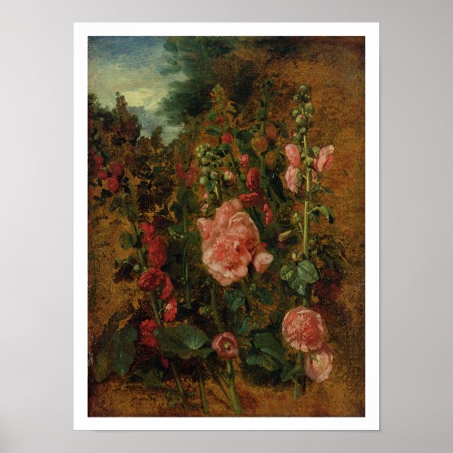 Affiche Étude de Hollyhocks, c.1826 (huile à bord) (Devant)