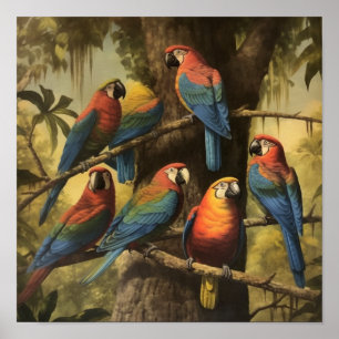 Affiche Étude de la faune de l'ara écarlate, botanique de