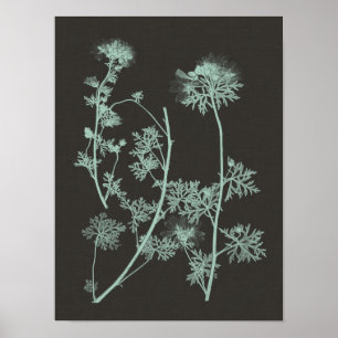 Affiche Étude de la nature à la menthe et au charbon IV