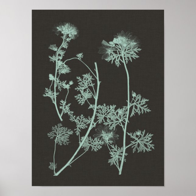 Affiche Étude de la nature à la menthe et au charbon IV (Devant)