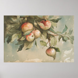 Affiche Étude de la peinture Vintage de l'aquarelle des po