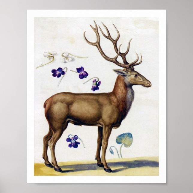 Affiche Étude des cerfs et des fleurs, Arcimboldo (Devant)