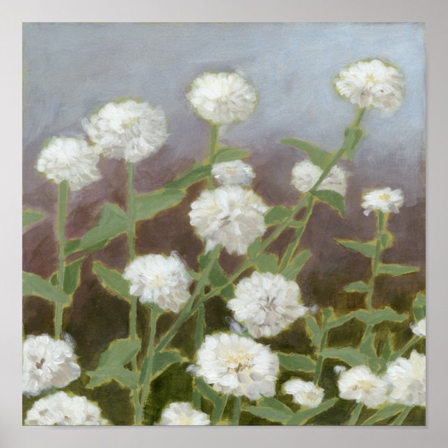 Affiche Étude du jardin botanique I (Devant)