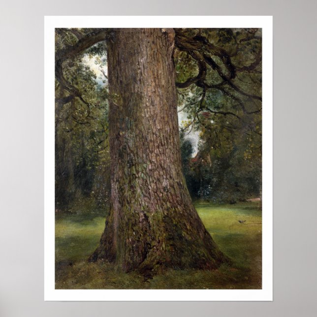 Affiche Étude du tronc d'un orme, vers 1821 (huile sur (Devant)