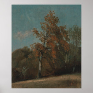 Affiche Étude d'un arbre cendré - John Constable