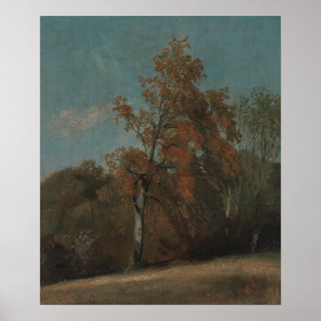 Affiche Étude d'un arbre cendré - John Constable (Devant)