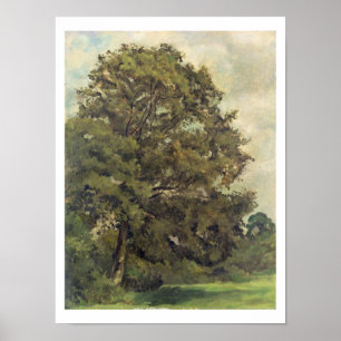 Affiche Étude d'un arbre de cendre, c.1851 (huile sur le