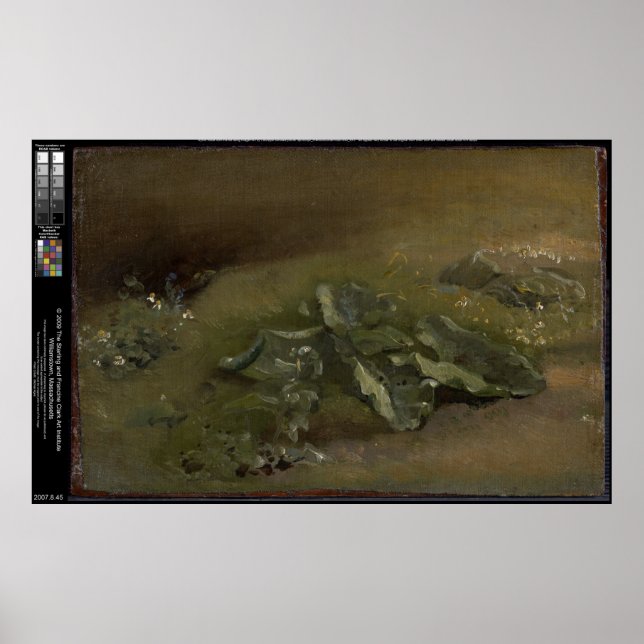 Affiche Étude d'un Burdock - John Constable (Devant)