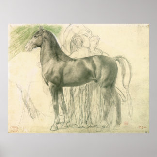 Affiche Étude d'un cheval avec des chiffres