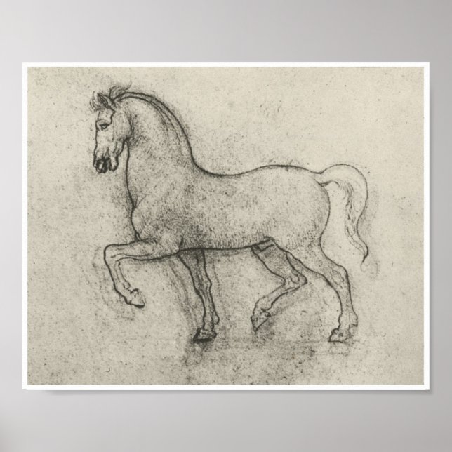 Affiche Étude d'un cheval, Léonard de Vinci (Devant)