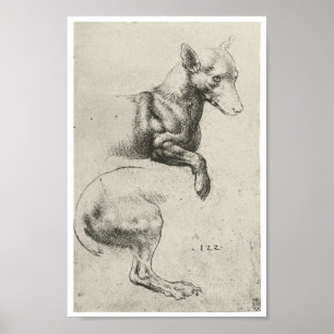 Affiche Étude d'un chien, Léonard de Vinci