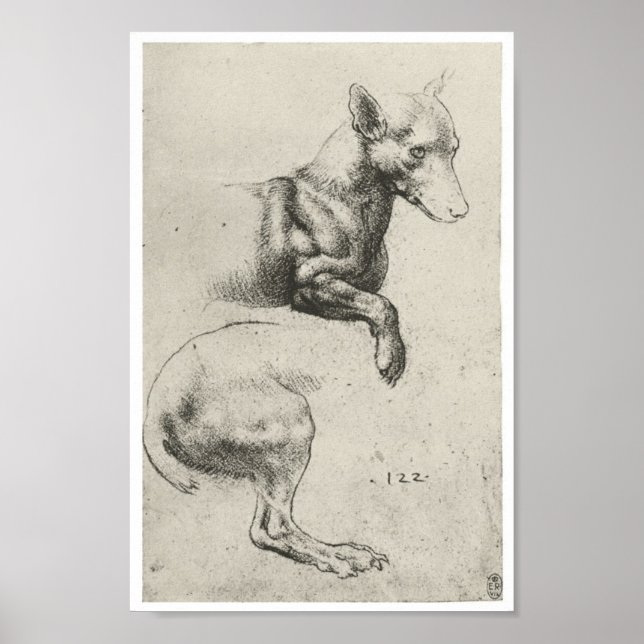 Affiche Étude d'un chien, Léonard de Vinci (Devant)
