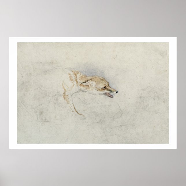Affiche Étude d'un renard croustillant, face à droite vers (Devant)