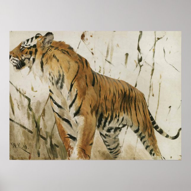 Affiche Étude d'un tigre par Wilhelm Kuhnert (Devant)