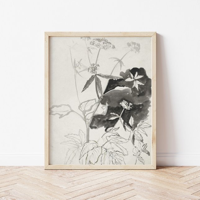 Affiche Étude plante | Carel Adolph Cachet (Créateur téléchargé)