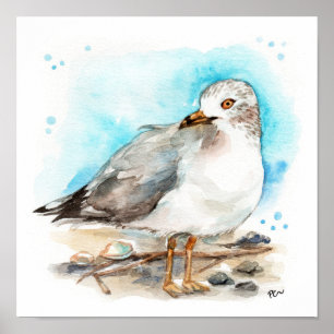 Affiche Étude sur la mouette 2