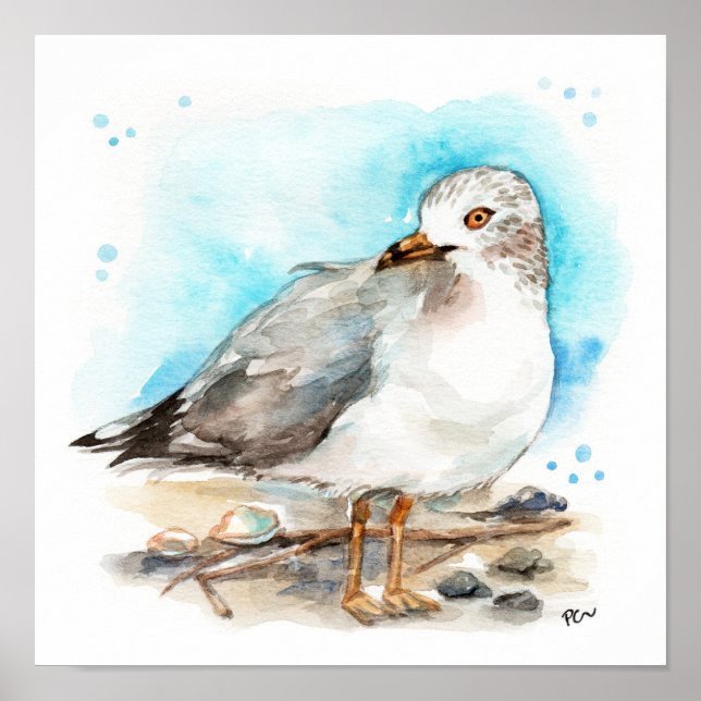 Affiche Étude sur le goéland 2 (Devant)