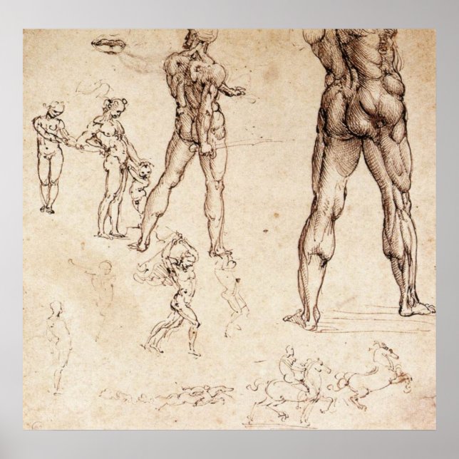 Affiche Études anatomiques (Devant)