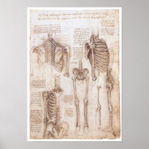 Affiche Etudes de squelette, Leonardo Da Vinci, 1510