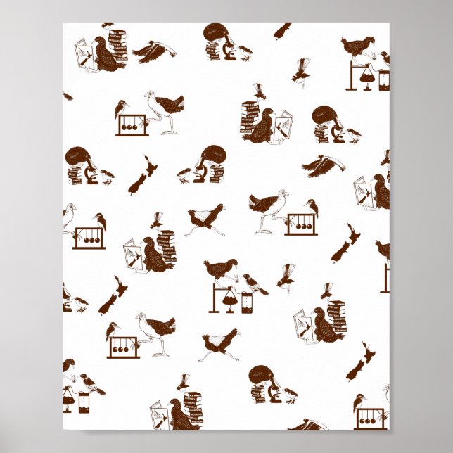 Affiche Étudiants en science des oiseaux de Nouvelle-Zélan (Devant)