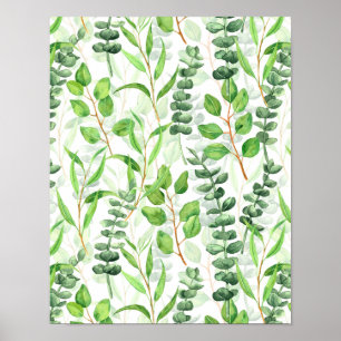 Affiche Eucalyptus
