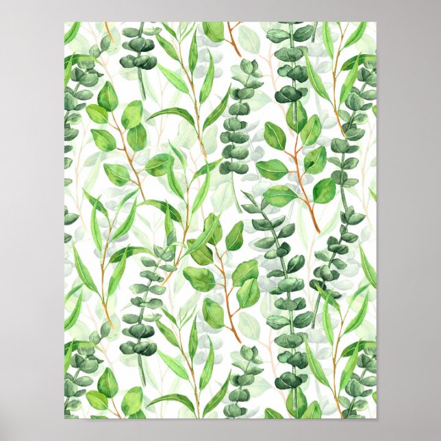 Affiche Eucalyptus (Devant)