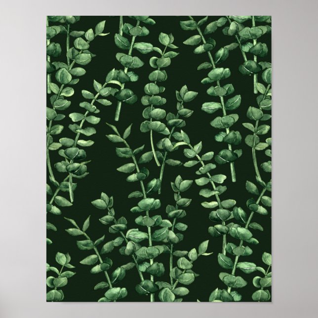 Affiche Eucalyptus 2 (Devant)