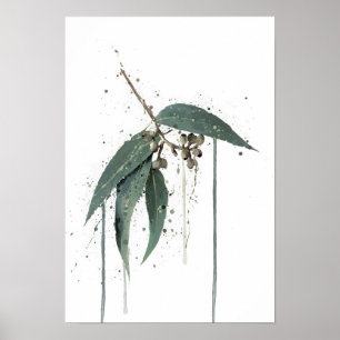 Affiche Eucalyptus’ (Australien)