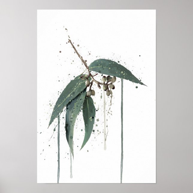 Affiche Eucalyptus’ (Australien) (Devant)