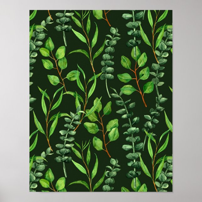 Affiche Eucalyptus vert foncé (Devant)