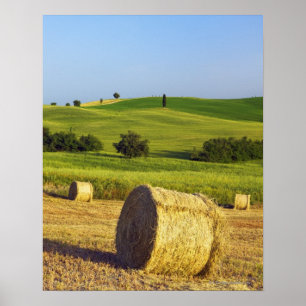 Affiche Europe, Italie, Toscane, Val d'Orcia, Pienza -
