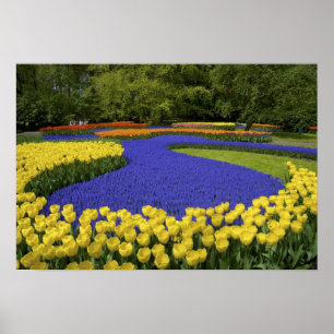 Affiche Europe, Pays-Bas, Hollande, Lisse, Keukenhof